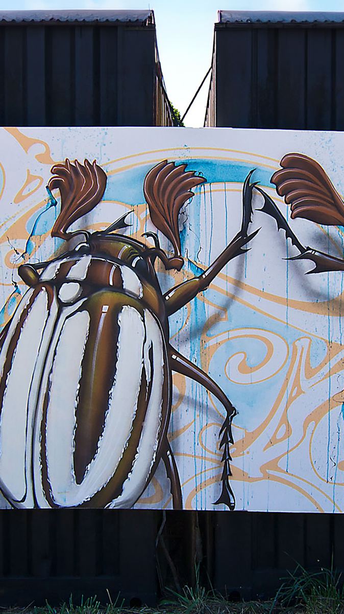 Custom mural and creative environment